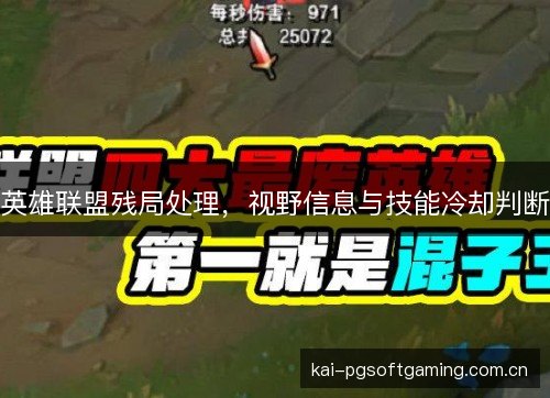英雄联盟残局处理，视野信息与技能冷却判断